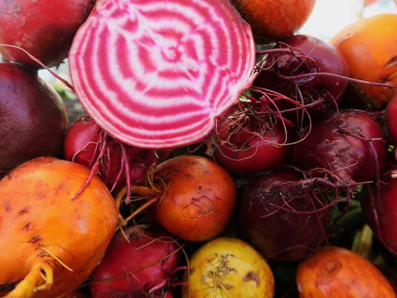 Sucesso do trabalho em&nbsp;equipe